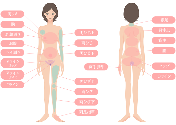 施術箇所